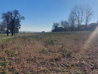 Grundstück kaufen in 7453 Steinberg