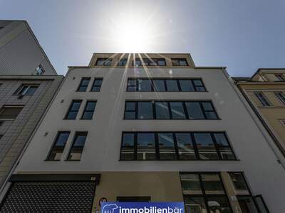 Immobilie kaufen in 4020 Linz (Bild 2)