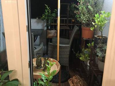 Wohnung mieten in 8010 Graz (Bild 4)