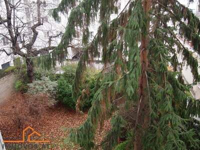 Wohnung mieten in 1100 Wien 10.