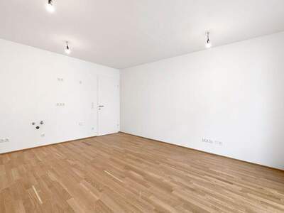 Terrassenwohnung kaufen in 1210 Wien (Bild 3)