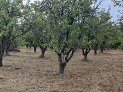 Grundstück kaufen (Bild 1)