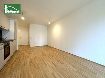 Terrassenwohnung mieten in 1200 Wien (Bild 3)