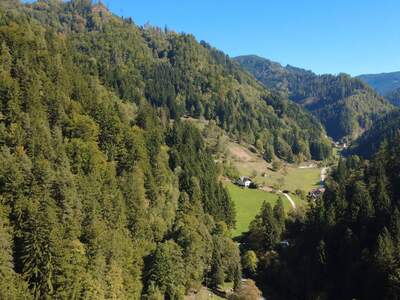 Gewerbeobjekt kaufen in 9413 St. Gertraud