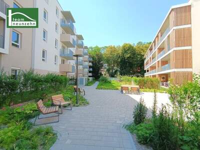 Terrassenwohnung mieten in 3100 St. Pölten (Bild 1)