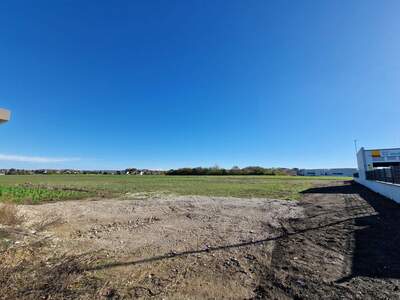 Grundstück mieten in 7011 Siegendorf