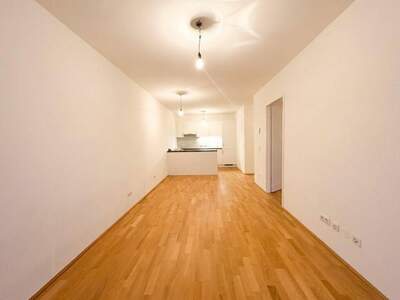 Wohnung mieten in 2000 Stockerau