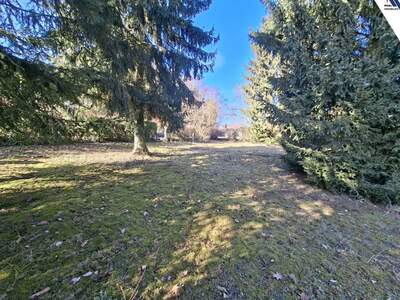 Gewerbeobjekt kaufen in 4060 Leonding (Bild 4)