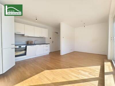 Terrassenwohnung mieten in 3100 St. Pölten (Bild 1)