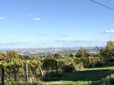 Grundstück kaufen in 1190 Wien