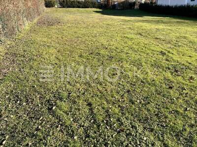 Grundstück kaufen in 4491 Niederneukirchen