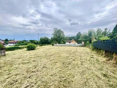 Grundstück kaufen in 4611 Buchkirchen