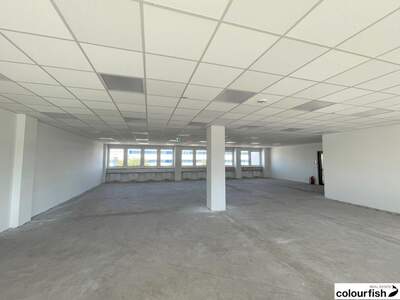 Gewerbeobjekt mieten in 2351 Wiener Neudorf (Bild 3)