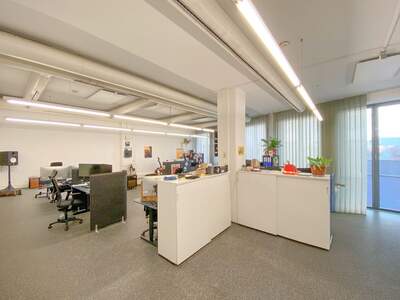 Gewerbeobjekt mieten in 4040 Linz (Bild 3)