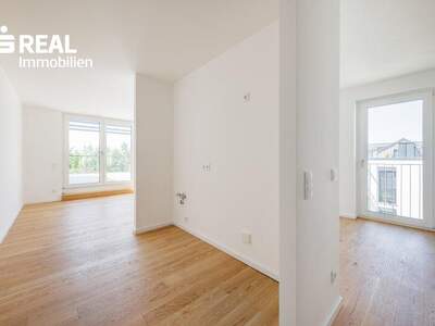 Terrassenwohnung kaufen in 2020 Hollabrunn (Bild 3)