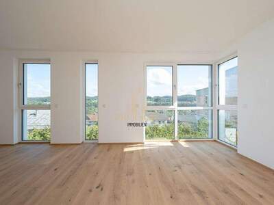 Haus mit Garten kaufen in 4523 Neuzeug (Bild 3)