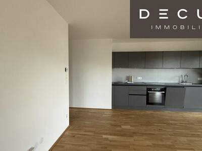 Terrassenwohnung mieten in 1100 Wien (Bild 2)