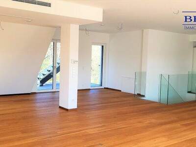 Terrassenwohnung kaufen in 1190 Wien (Bild 3)