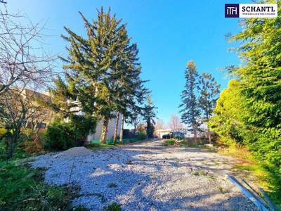 Grundstück kaufen in 1170 Wien (Bild 5)