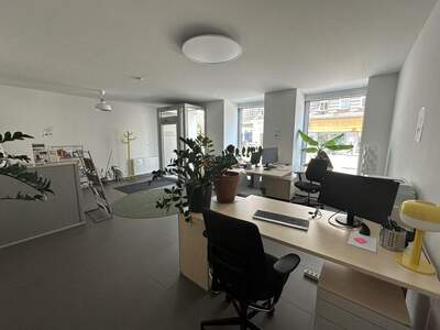 Gewerbeobjekt mieten in 1090 Wien (Bild 5)