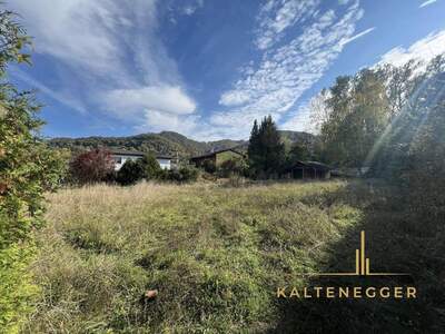 Grundstück kaufen in 3422 Altenberg