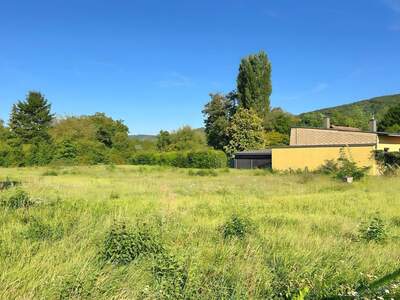 Grundstück kaufen in 3424 Wolfpassing (Bild 3)