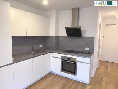 Terrassenwohnung mieten in 1210 Wien (Bild 2)