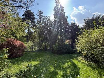 Grundstück kaufen in 1190 Wien