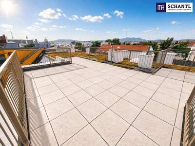 Terrassenwohnung kaufen in 1230 Wien (Bild 3)