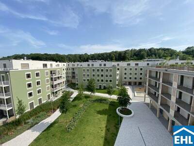 Terrassenwohnung mieten in 3451 Michelhausen (Bild 4)