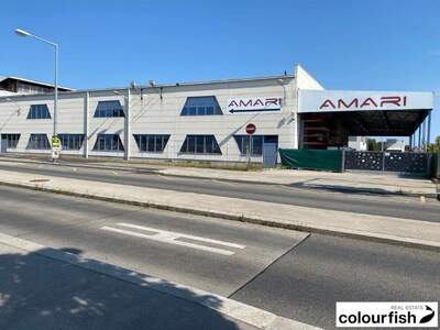 Gewerbeobjekt mieten in 1230 Wien (Bild 3)