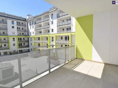 Wohnung mieten in 2320 Schwechat