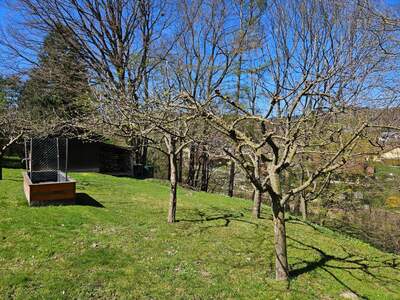 Einfamilienhaus kaufen in 3052 Innermanzing (Bild 3)