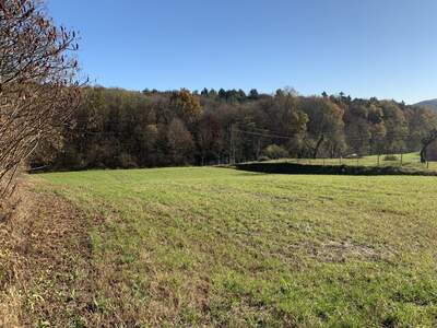 Grundstück kaufen in 8380 Jennersdorf (Bild 5)