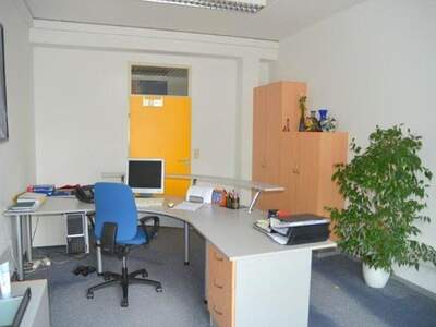 Gewerbeobjekt mieten in 8055 Graz (Bild 5)