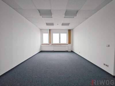 Büro / Praxis mieten in 2351 Wr. Neudorf (Bild 3)