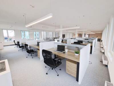 Gewerbeobjekt mieten in 1100 Wien (Bild 4)