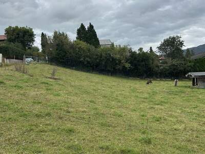 Grundstück kaufen in 5302 Henndorf (Bild 2)