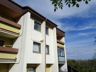 Terrassenwohnung kaufen in 3313 Wallsee (Bild 2)