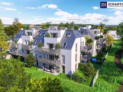 Terrassenwohnung kaufen in 1210 Wien (Bild 1)