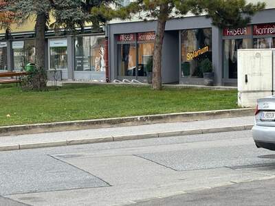 Gewerbeobjekt mieten in 2401 Fischamend (Bild 5)