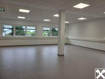 Gewerbeobjekt mieten in 4061 Pasching (Bild 3)