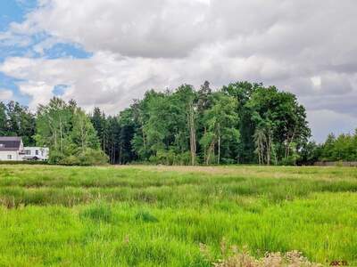 Gewerbeobjekt kaufen in 8141 Oberpremstätten (Bild 3)