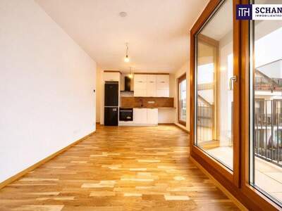 Terrassenwohnung mieten in 1230 Wien (Bild 5)