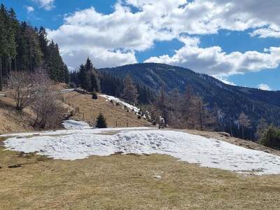 Grundstück kaufen in 9400 Wolfsberg (Bild 2)