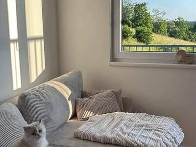 Wohnung provisionsfrei mieten in 7432 Oberschützen