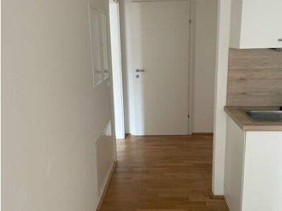 Terrassenwohnung mieten in 1230 Wien (Bild 5)