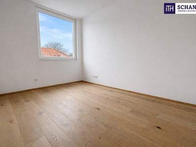 Terrassenwohnung kaufen in 2514 Traiskirchen (Bild 3)