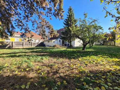 Grundstück kaufen in 1220 Wien (Bild 1)