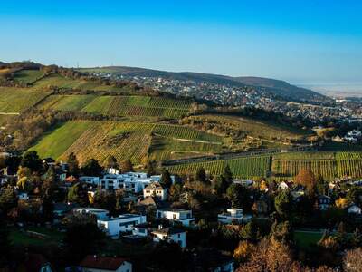 Grundstück kaufen in 3400 Klosterneuburg (Bild 2)